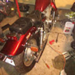 Meet your Posher, Bradley